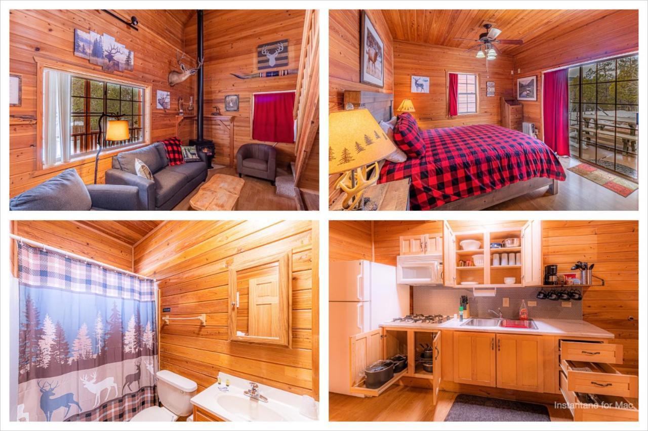 Cabin #4 The Wolves Den - Pet Friendly- Sleeps 6 - Playground & Game Room Пейсон Экстерьер фото